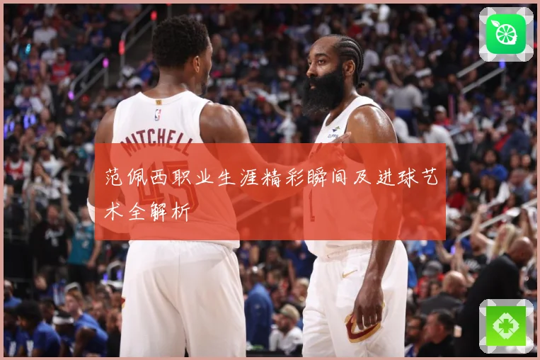 范佩西职业生涯精彩瞬间及进球艺术全解析