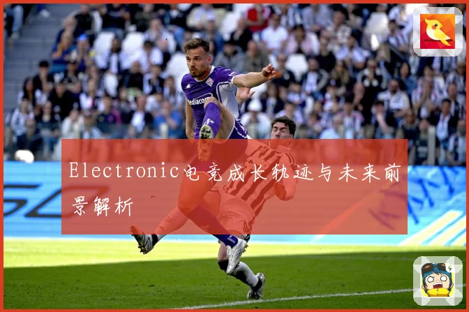 Electronic电竞成长轨迹与未来前景解析