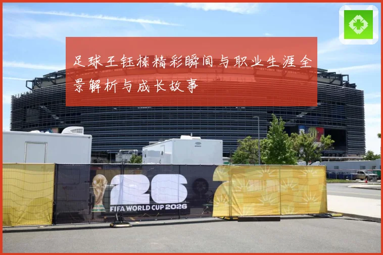 足球王钰栋精彩瞬间与职业生涯全景解析与成长故事